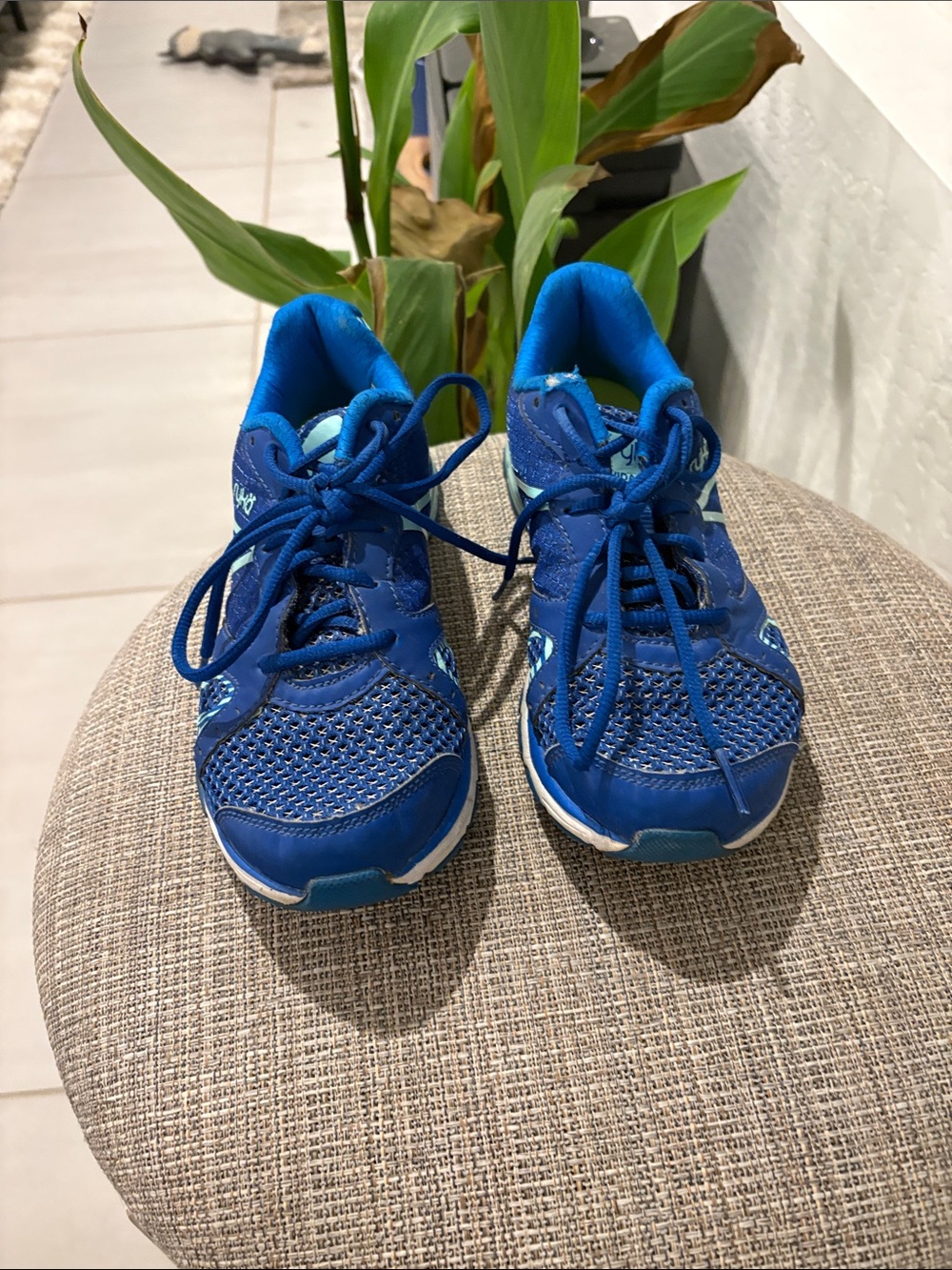 Ryka Kids Royal Blue Lace-Up Sneakers